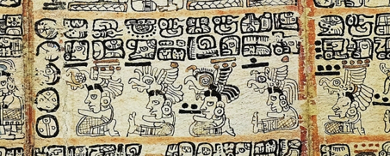 mayan codice detail